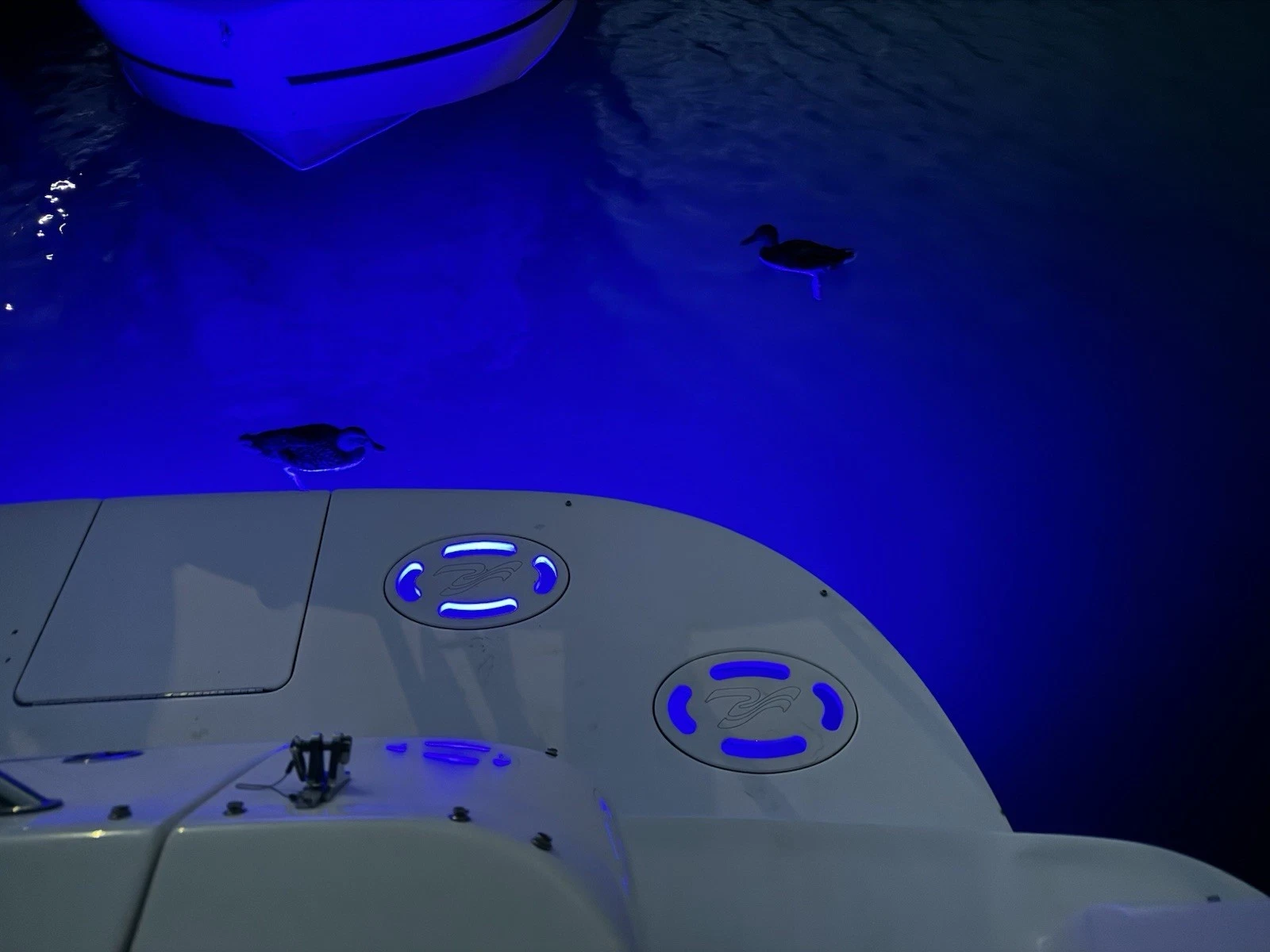 2001 Sea Ray 340 Sundancer