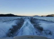 2001 Sea Ray 340 Sundancer