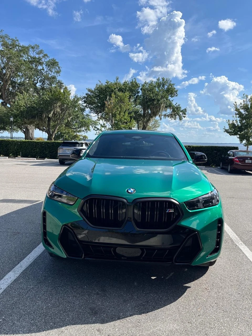 2026 BMW X6 M60I